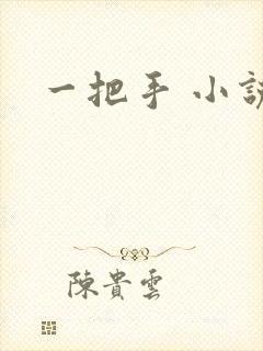 一把手 小说