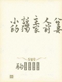 小说主人公秦少的独家前妻免费阅读封面