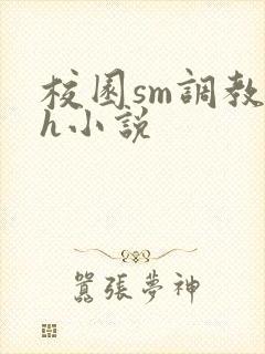 校园sm调教高h小说