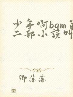 少年啊bgm第二部小说叫什么