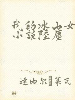 我的冰山女总裁小说陆尘