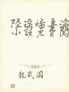 陆瑶娇妻沦陷的小说免费阅读
