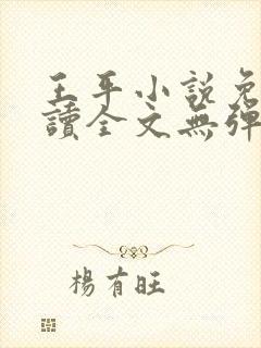 王平小说免费阅读全文无弹窗封面