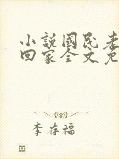 小说国民老公带回家全文免费阅读