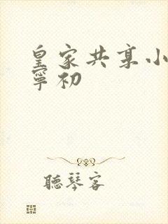 皇家共享小公主宁初