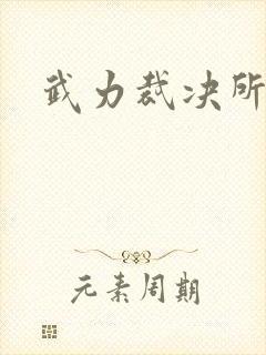 武力裁决所