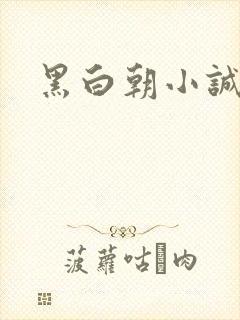 黑白朝小诚