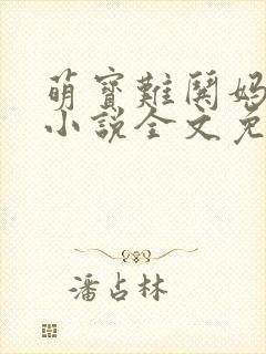 萌宝难哄妈难追小说全文免费阅读
