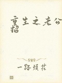 重生之老公请接招封面