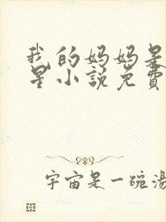 我的妈妈是大明星小说免费阅读封面