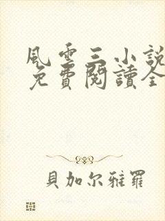 风云三小说原著免费阅读全文