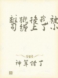离职后我被前上司缠上了小说免费全集封面