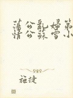 荡公乱妇第1章情公苏雪小说封面