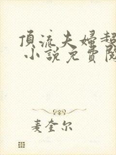 顶流夫妇超甜的 小说免费阅读全部章节封面