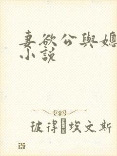 妻欲公与媳姚瑶小说封面