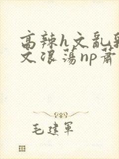高辣h文乱乳h文浪荡np萧太后