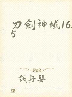 刀剑神域16.5封面
