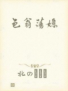 色翁荡媳封面