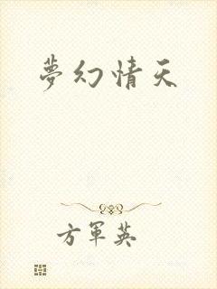 梦幻情天封面