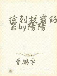 捡到校霸的遥控器by阳阳