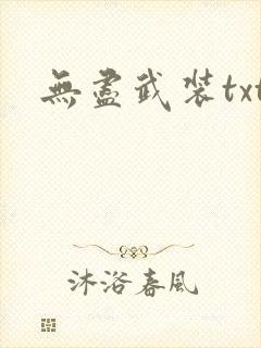 无尽武装txt
