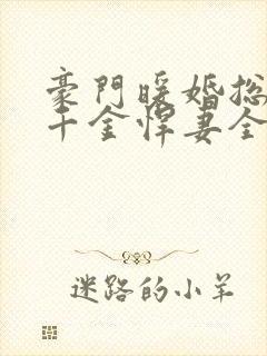 豪门暖婚总裁的千金悍妻全文免费阅读