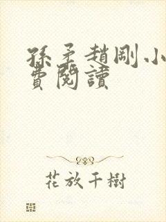 孙柔赵刚小说免费阅读