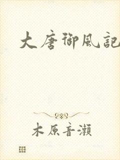 大唐御风记封面