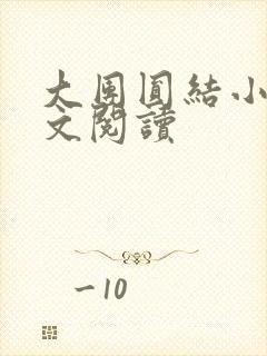 大团圆结小茹全文阅读封面