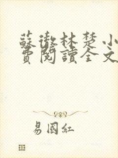 苏彻林楚小说免费阅读全文封面