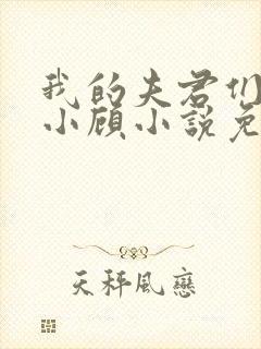 我的夫君们by小顾小说免费阅读无弹窗封面