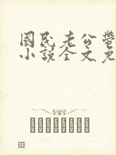 国民老公带回家小说全文免费阅读