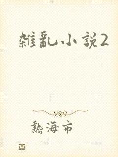 杂乱小说2