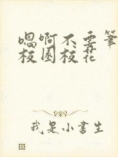 嗯啊不要笔趣阁校园校花封面