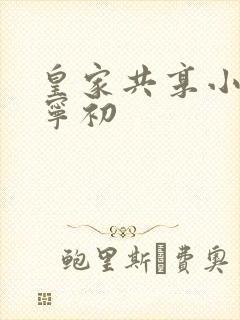 皇家共享小公主宁初