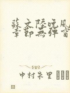 苏文陆晚风最新章节无弹窗笔趣阁