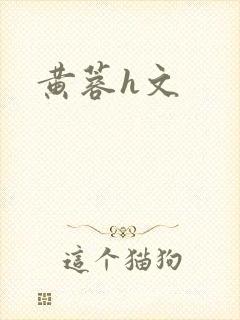 黄蓉h文
