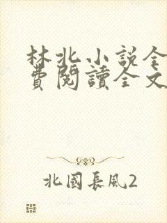林北小说全文免费阅读全文