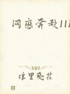 网恋奔赴11h
