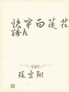 快穿白莲花的引诱h