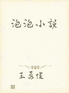 泡泡小说