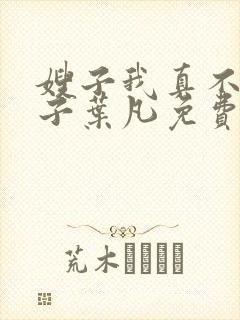 嫂子我真不是傻子叶凡免费