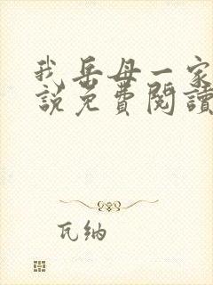 我岳母一家情小说免费阅读
