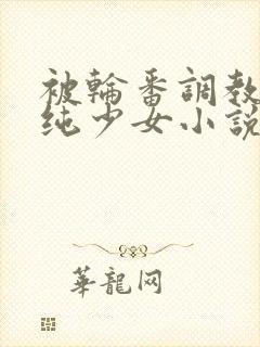 被轮番调教的清纯少女小说高干文封面