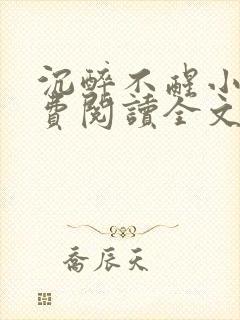 沉醉不醒小说免费阅读全文无弹窗
