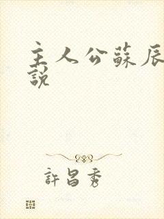 主人公苏辰的小说