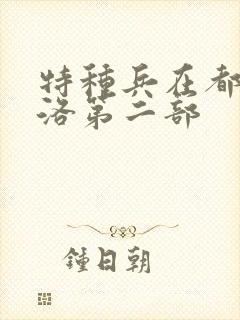 特种兵在都市杨洛第二部