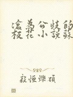沧为公歧的清纯校花小说苏软软