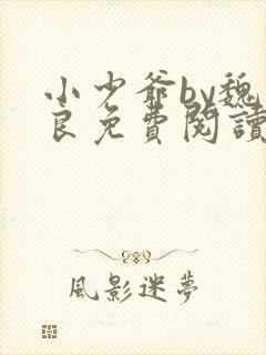 小少爷by魏丛良免费阅读全文封面