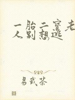 一胎二宝老婆大人别想逃封面